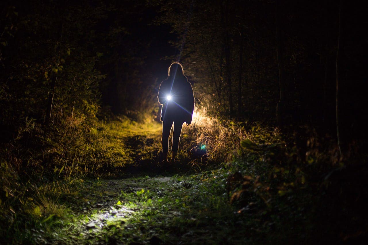 Night Torch Trail