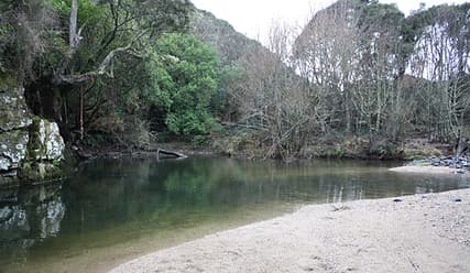 Swimming Hole