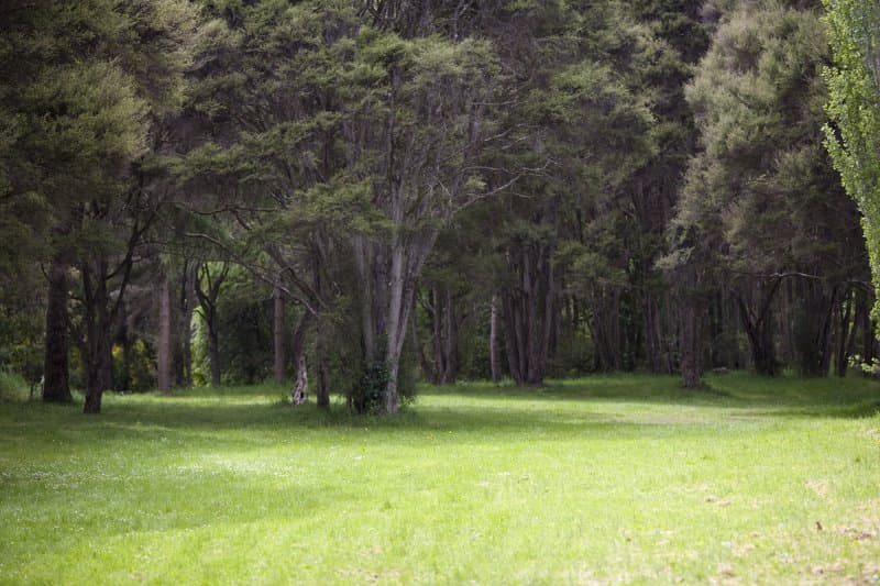 Fields